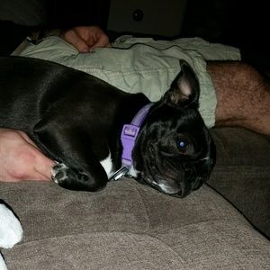 Meet your Posher, Lori