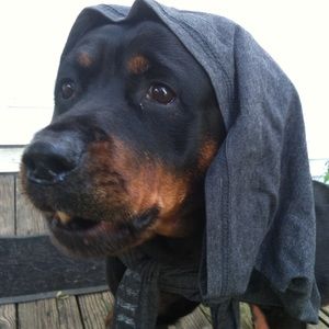 Meet your Posher, Ryan