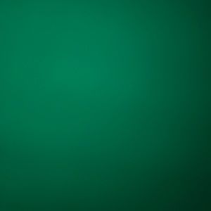 Meet your Posher, Ali