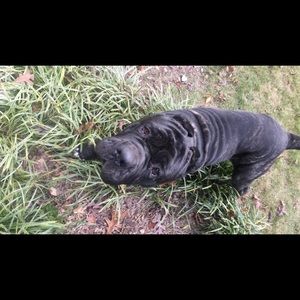 Meet your Posher, Andrew