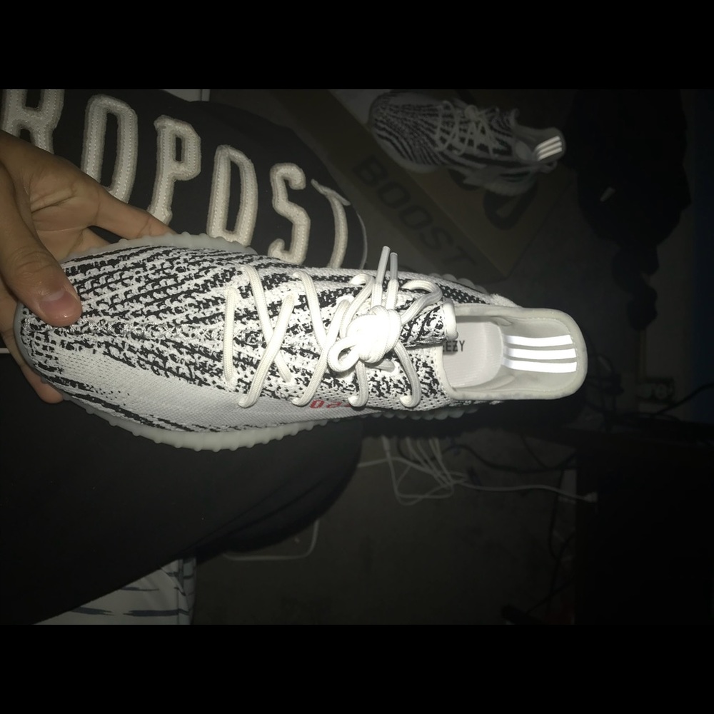 zebras sz 11 authentic