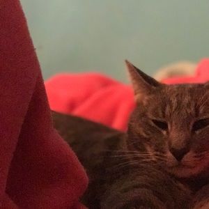 Meet your Posher, Mallory