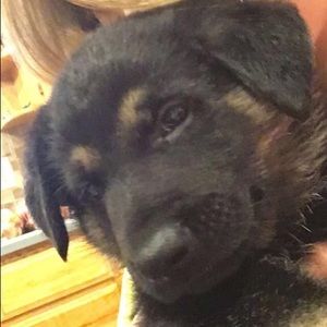 Meet your Posher, Paula