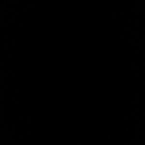 Meet your Posher, Romaine