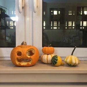 Meet your Posher, Maggie