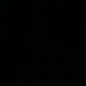 Meet your Posher, Paulina