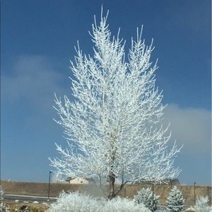 Meet your Posher, Geetika