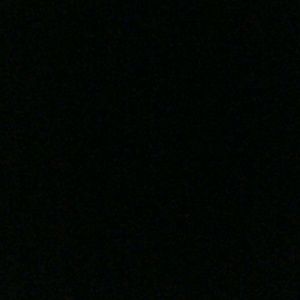 Meet your Posher, Lynn