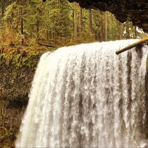 Meet your Posher, Connor