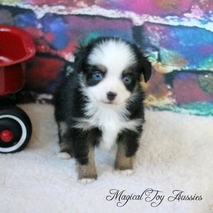 Meet your Posher, Shawna