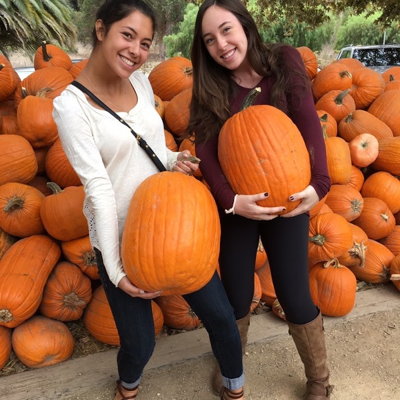 Meet your Posher, Kelsi - Picture 1 of 1