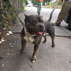 Meet your Posher, Pierre