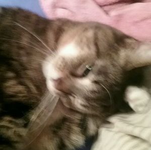 Meet your Posher, Kathy