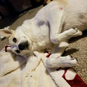 Meet your Posher, Audrey