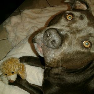 Meet your Posher, Sherry