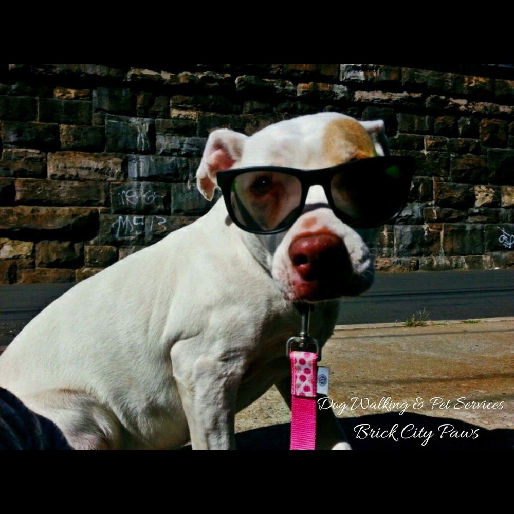 Meet your Posher, Jay