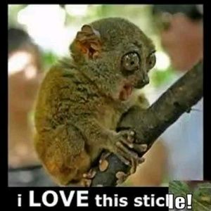 Meet your Posher, Crystal