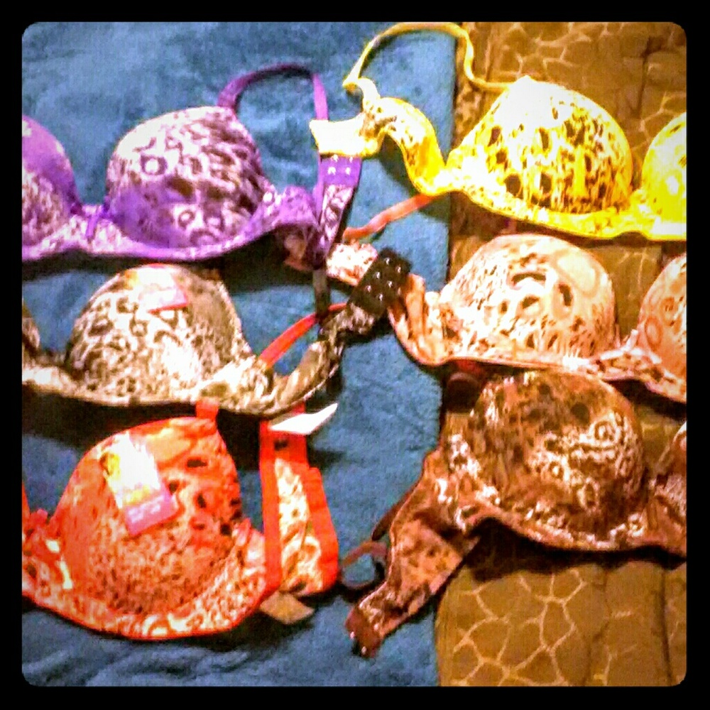 6 new bras