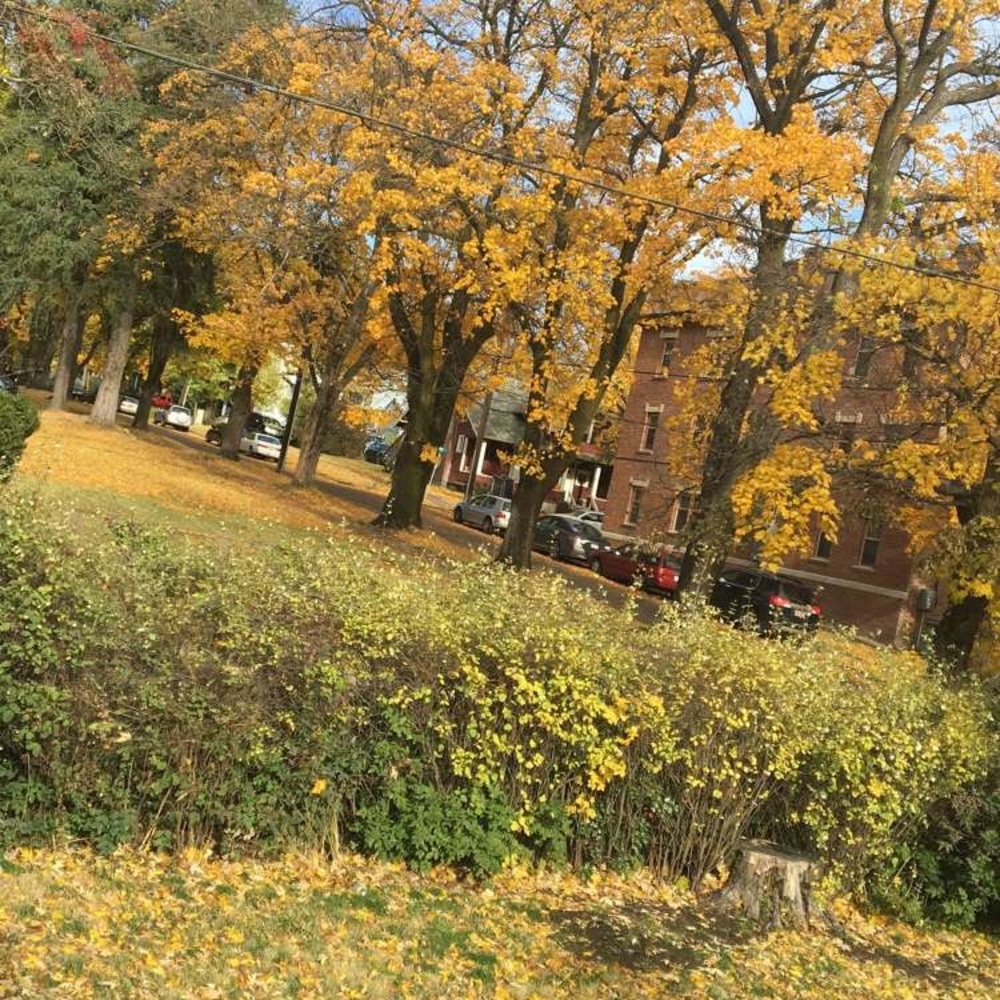 Meet your Posher, Rob