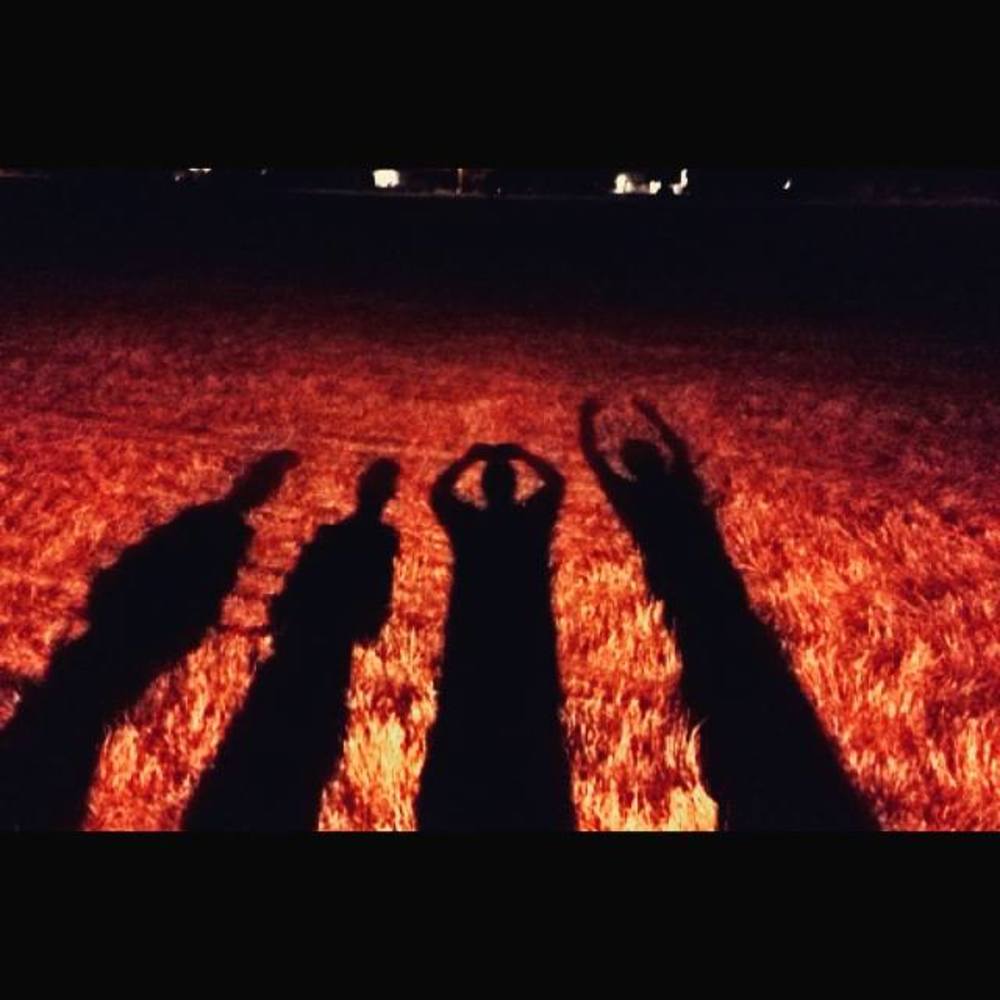 Meet your Posher, Logan