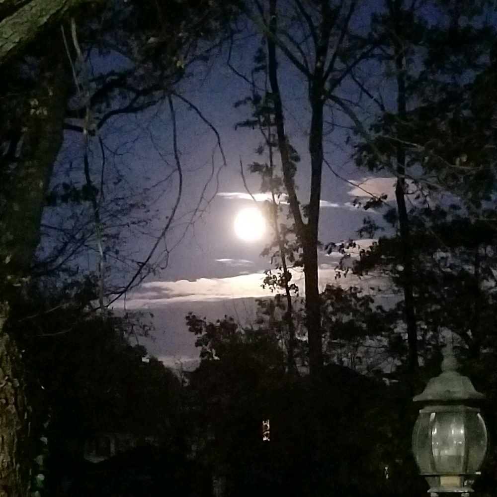 Meet your Posher, Quanda