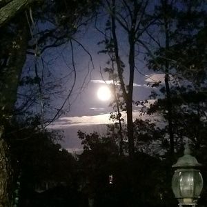 Meet your Posher, Quanda