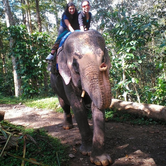 Meet your Posher, Xi - Picture 7 of 7