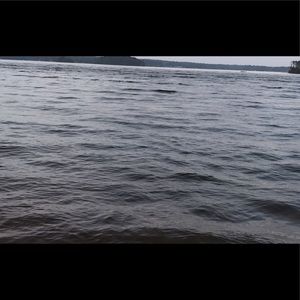 Meet your Posher, Elissa