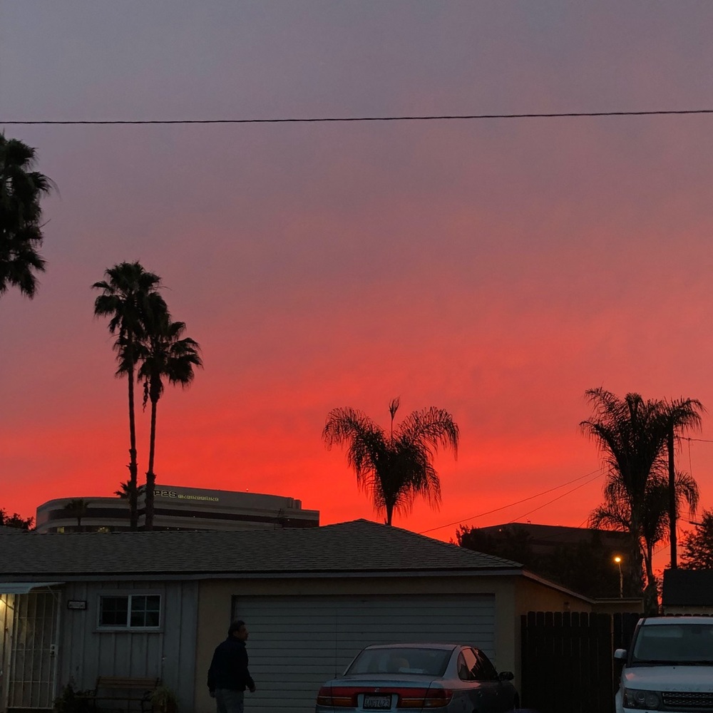 Meet your Posher, Henry