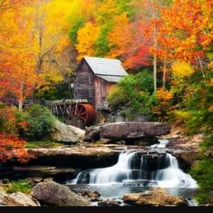 Meet your Posher, Beverly