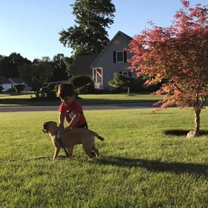 Meet your Posher, Güler