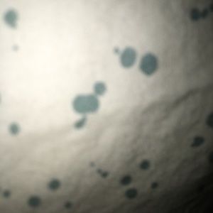 Meet your Posher, Cynthia