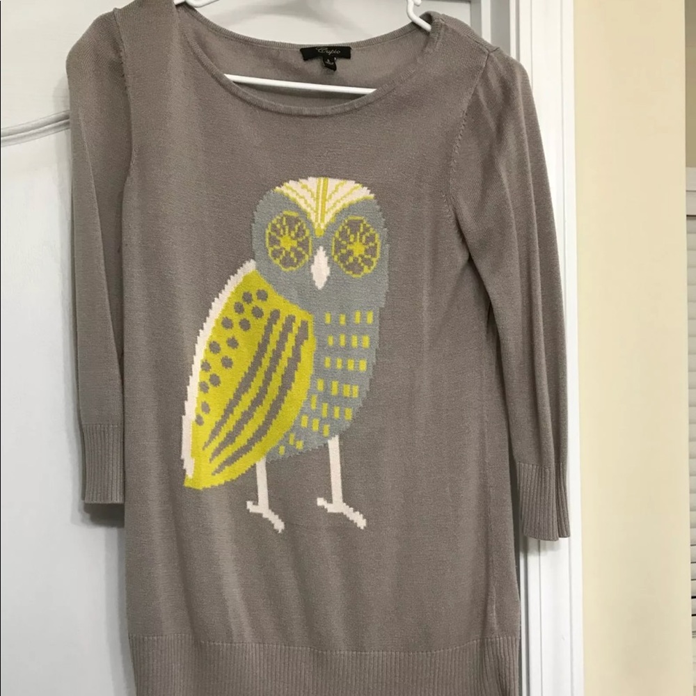 Owl sweater