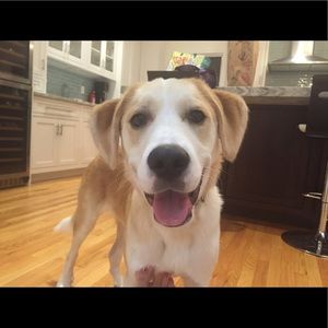 Meet your Posher, Jen