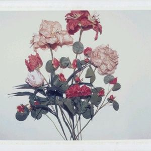 Meet your Posher, Mia