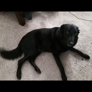 Meet your Posher, Tim