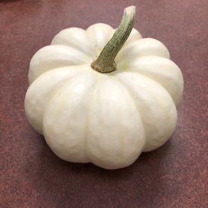 Decorative pumpkin for Monia