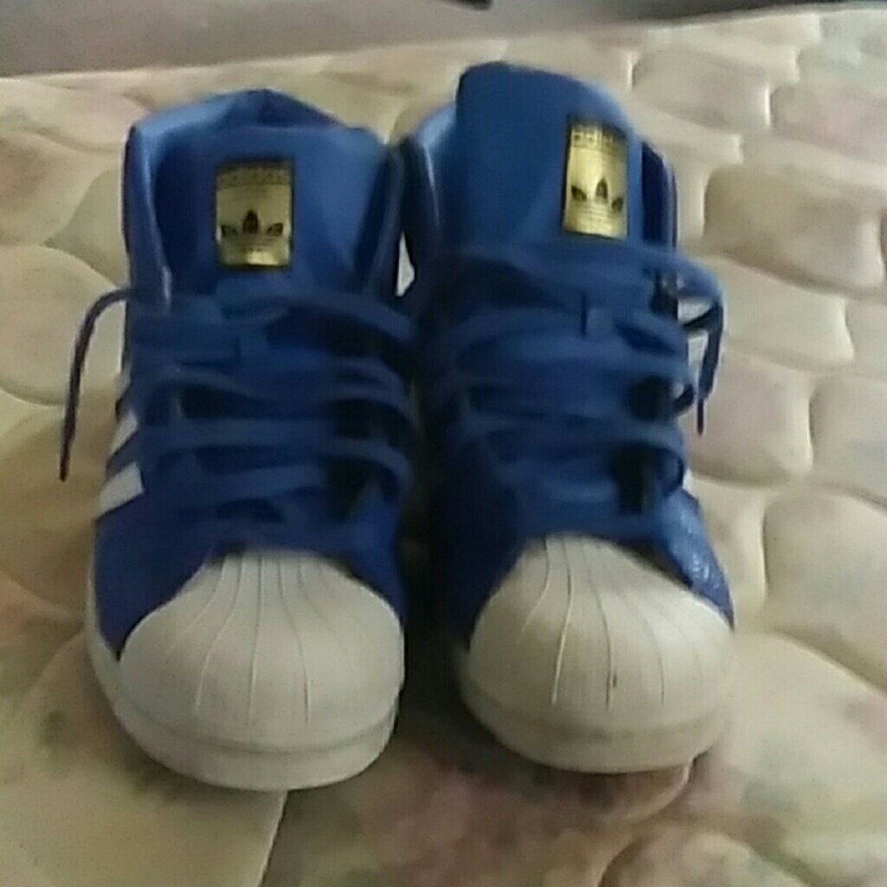 Blue Adidas superstar  shell toes high top