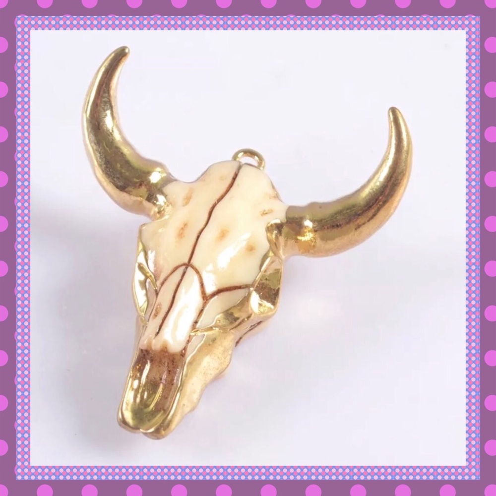 ⭐️Longhorn Resin Cattle Head Pendant⭐️