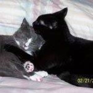 Meet your Posher, Tamara