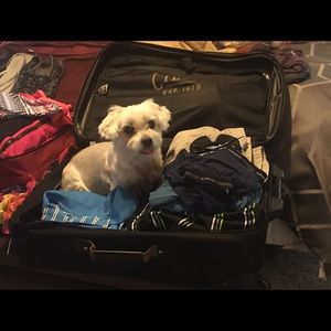 Meet your Posher, Marci