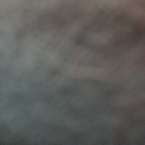 Meet your Posher, Jackson