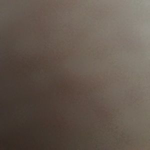 Meet your Posher, Dora