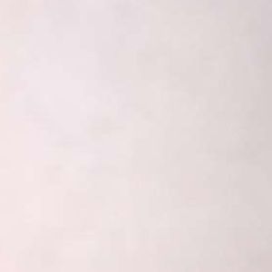 Meet your Posher, Antwaun