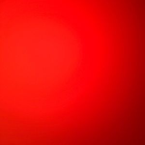 Meet your Posher, Raquel