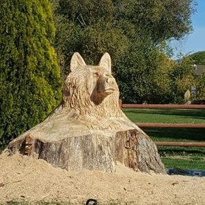 Meet your Posher, Frank