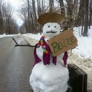 Meet your Posher, Terri