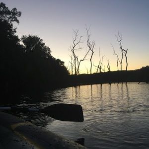 Meet your Posher, Calvin