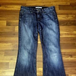 JOE'S JEANS STARDUST FLARE LEG HOXTEN Womens Jeans
