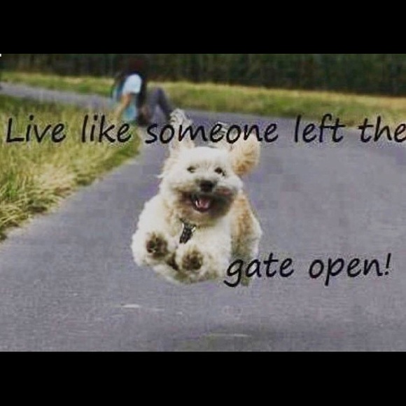 Meet your Posher, Heidi - Picture 1 of 1